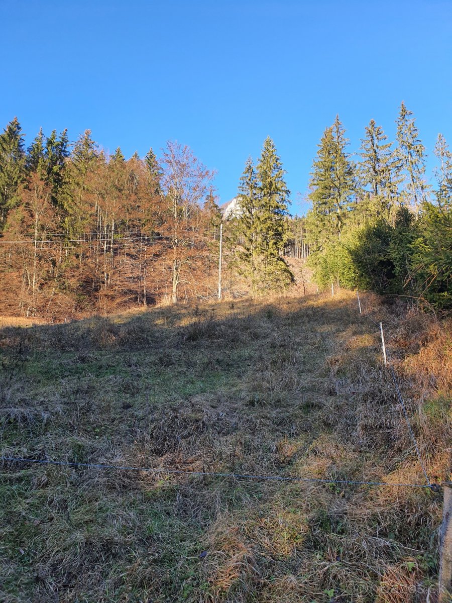 Predam stavebny pozemok Sklabinsky Podzamok 2000 m2