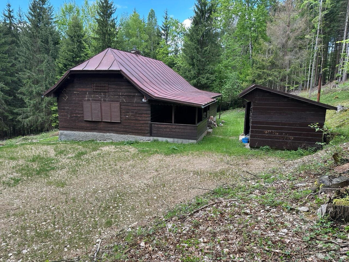 Výrazne znížená cena, chata v lese na predaj Nemecká