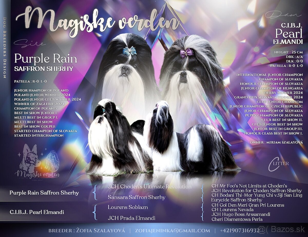 Shih-tzu S PP (Ši cu, shih tzu)