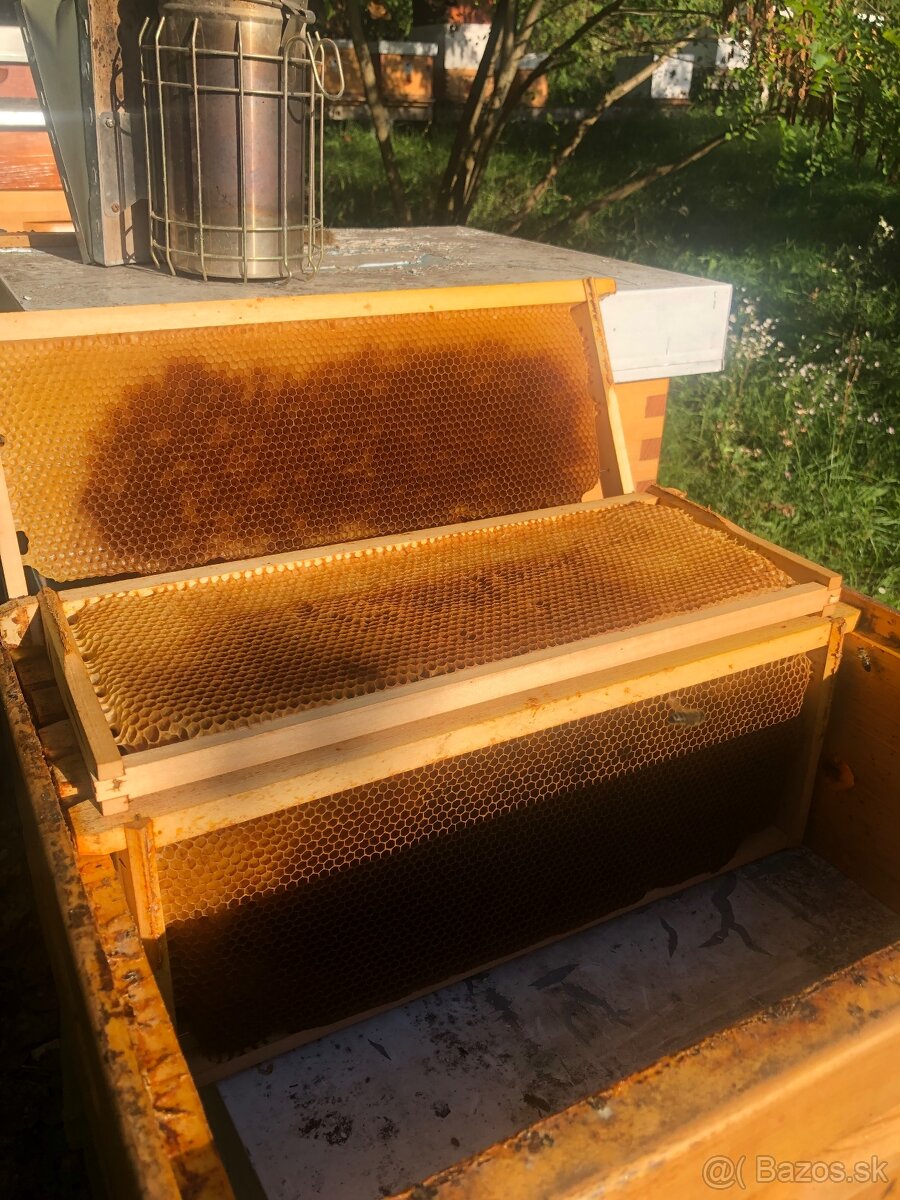 Včelie vystavané rámiky E (nízke B)