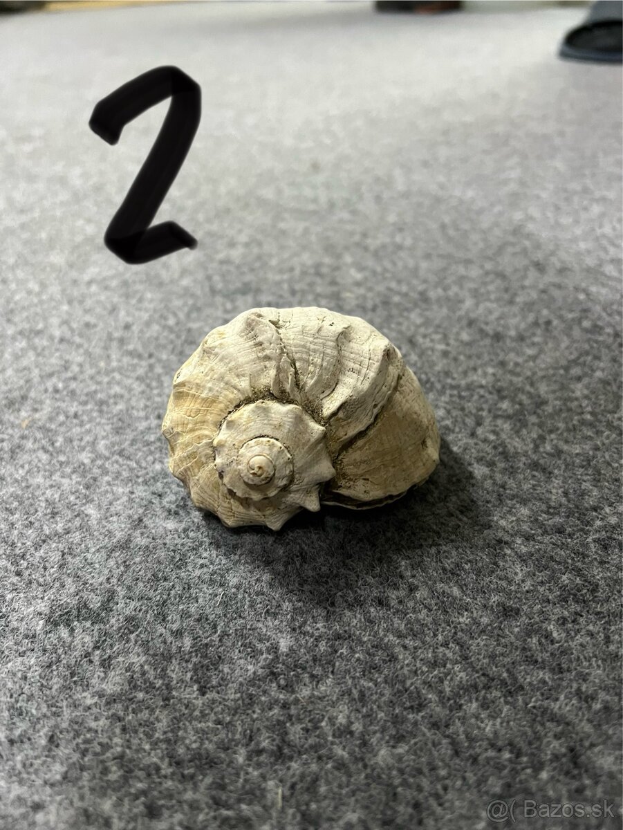 Príslušenstvo do akvaria