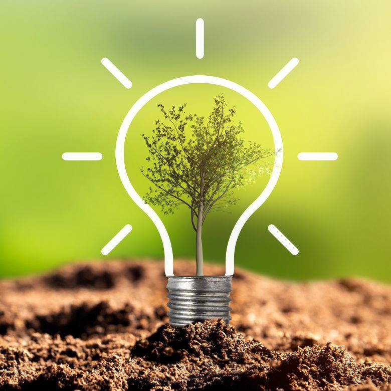 Hľadám prácu, oblasť environmentalistika, ekológia