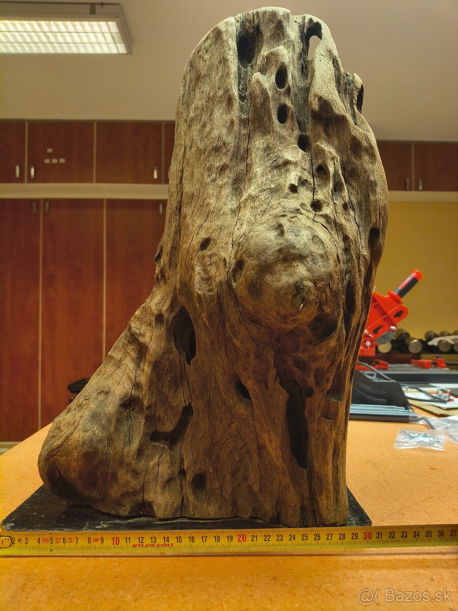 koreň do akvária driftwood