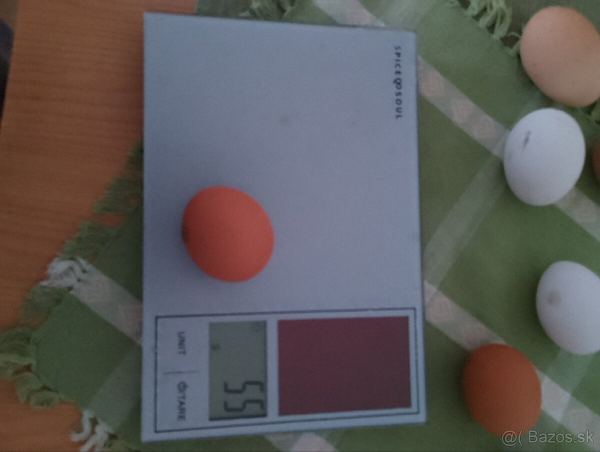 Predám domáce vajíčka, vajcia