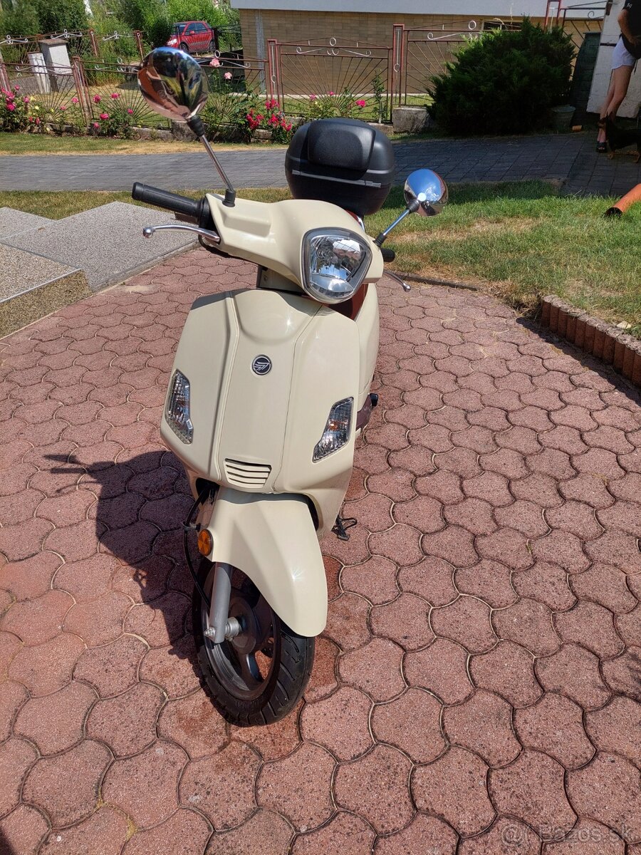 Zahara 50