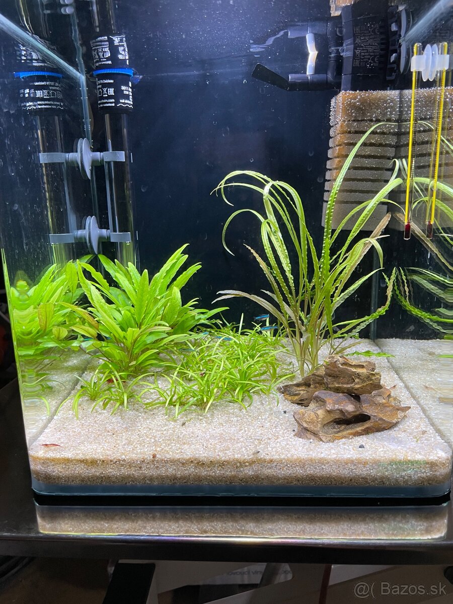 Zabehnuté Dennerle Nano Cube 30 L