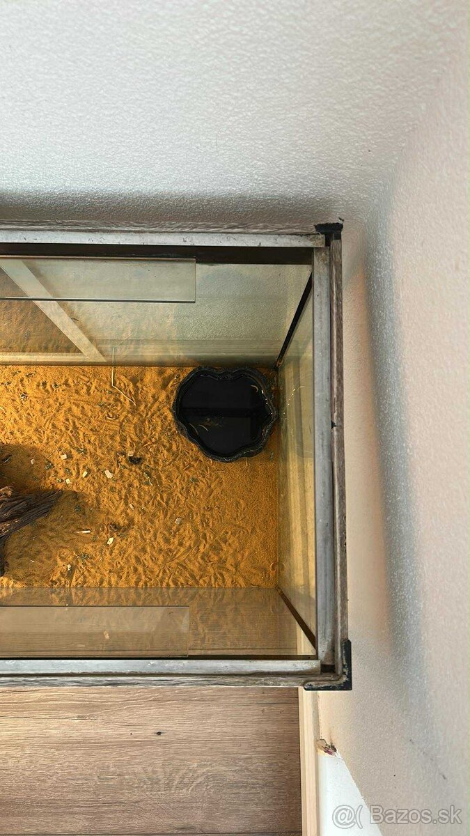 Predám akvárium (terarium)