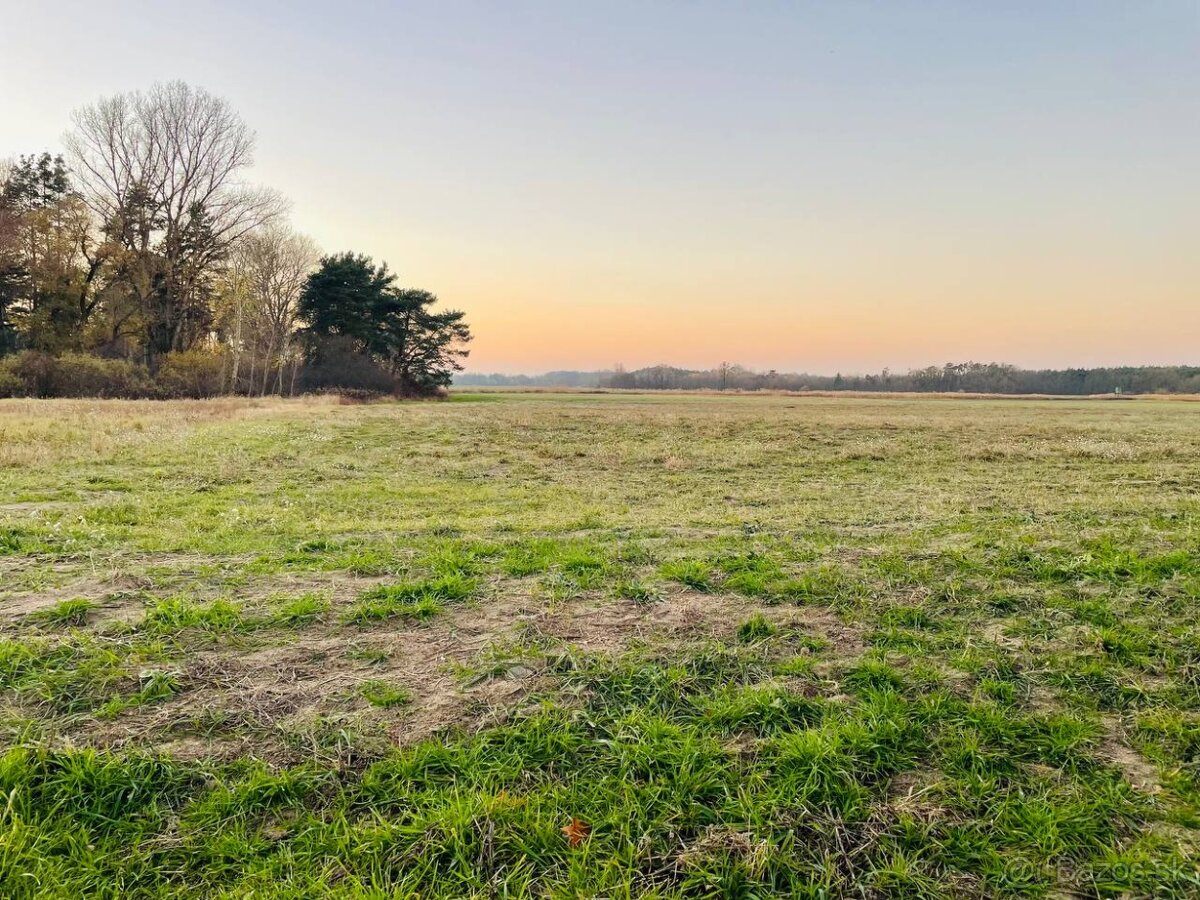 Veľký Pozemok 45 172 m² pri Malých Levároch