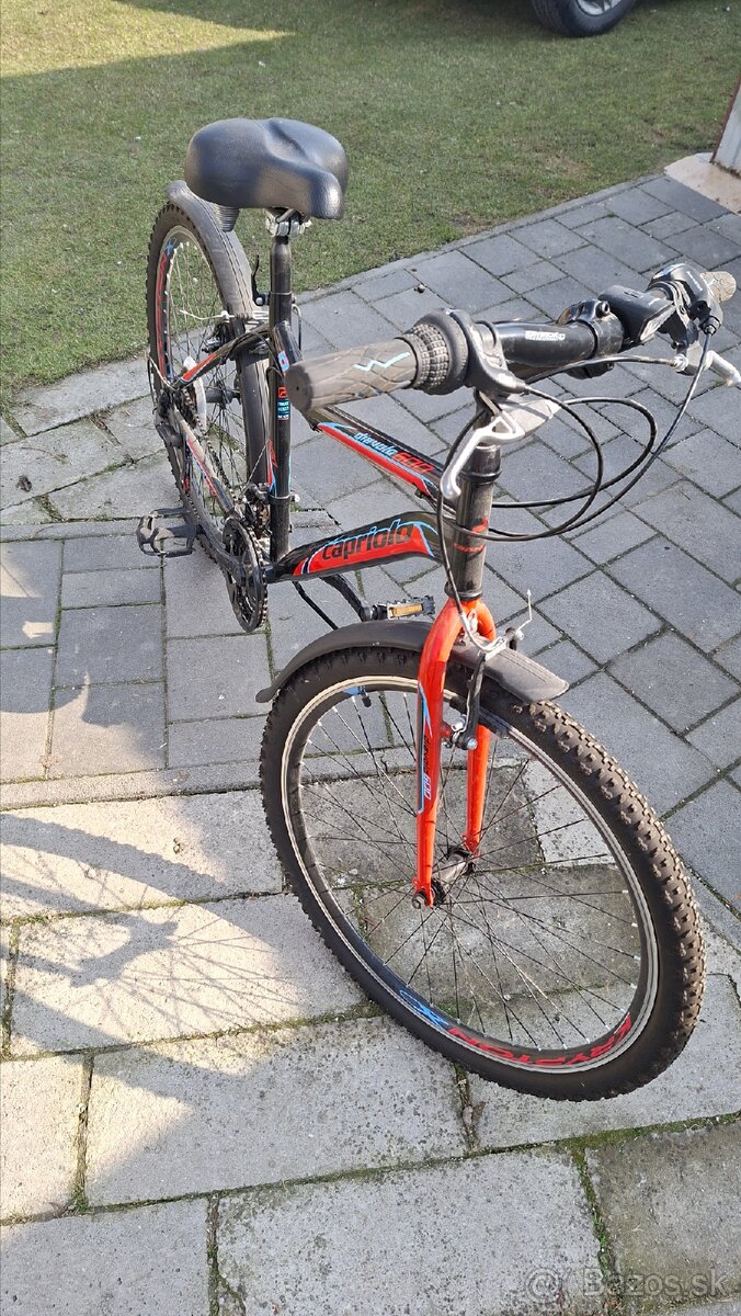 Bicykel Capriolo