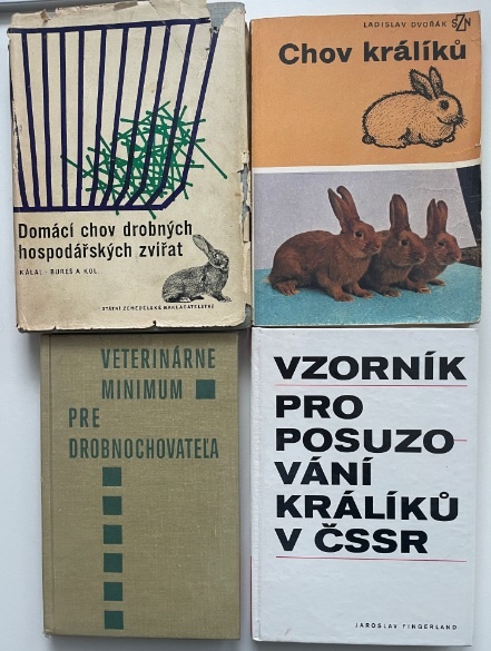 Králiky