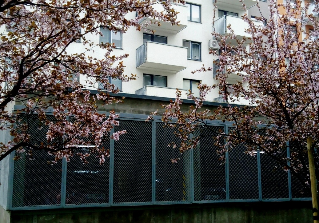 Prenaj.parkov.státie na Jégého, na Nivách v BA 2