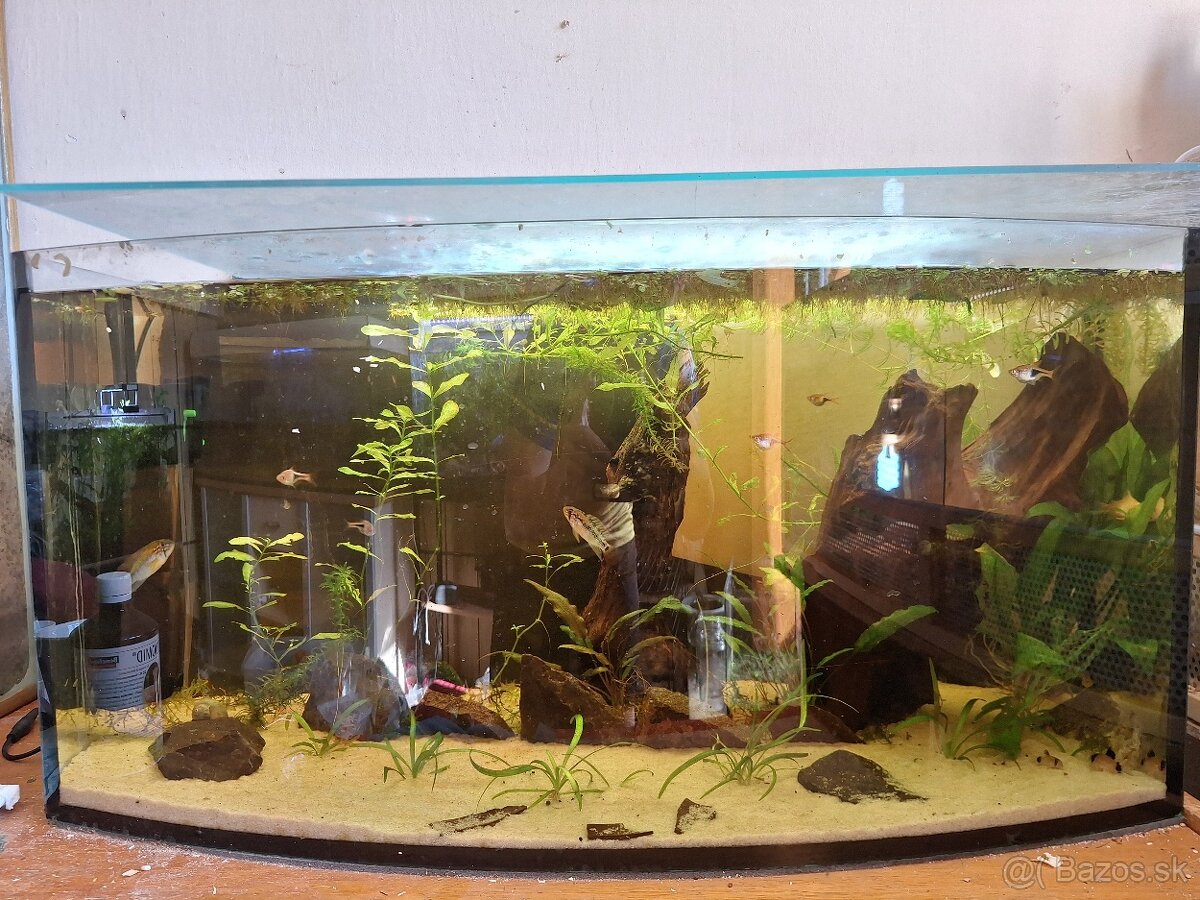 Predám 100l a 30l akvarium s prislusenstvom