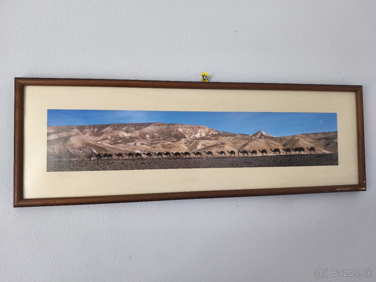 Obraz - Karavána tiav