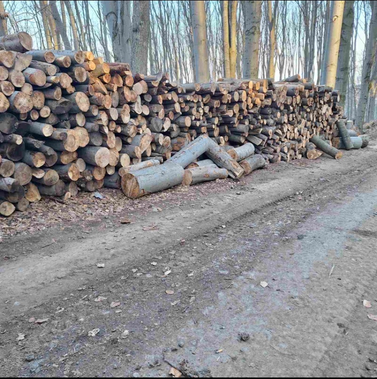 Palivové drevo