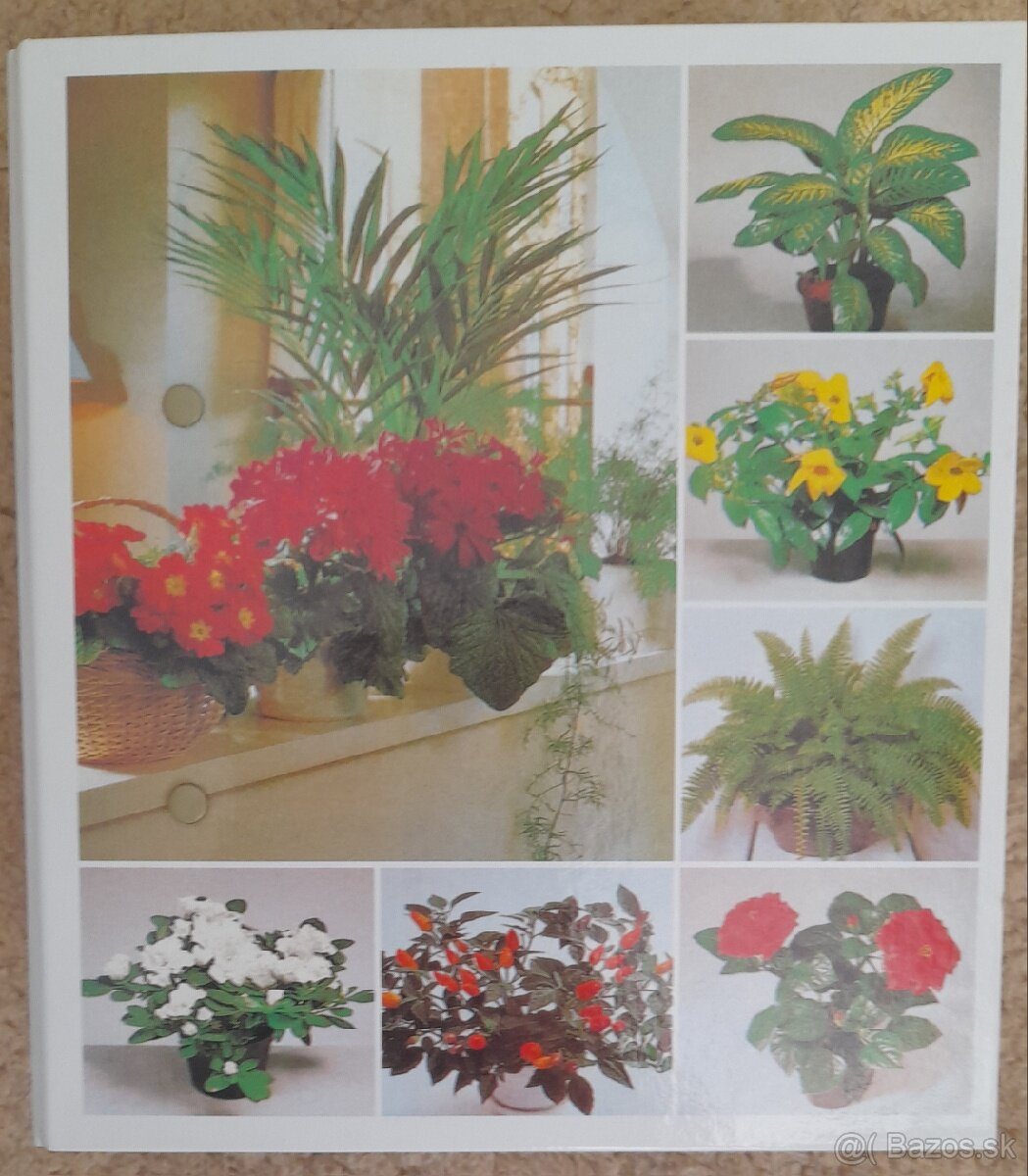 ENCYKLOPÉDIA KVETY