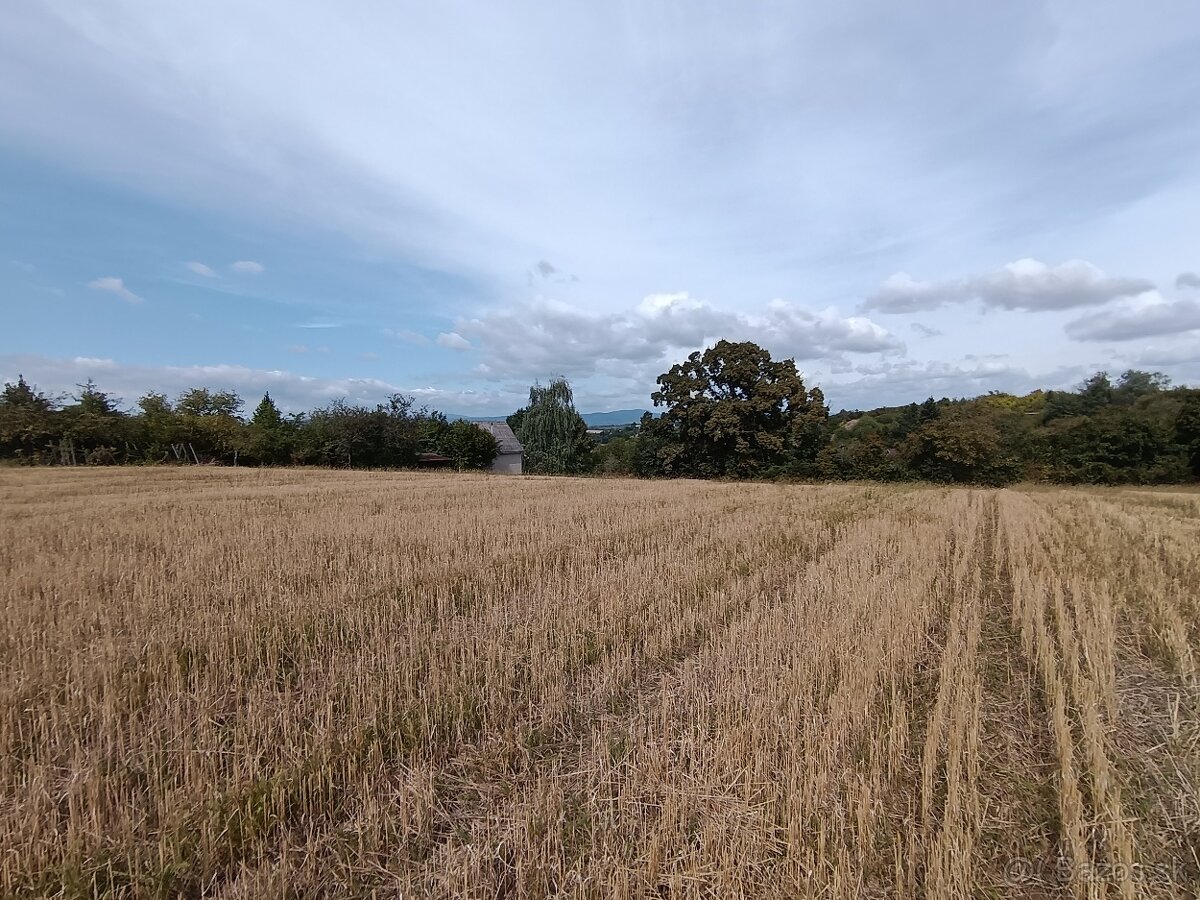 Predaj pozemku , časť Staré Levice , 4519 m2 , Levice