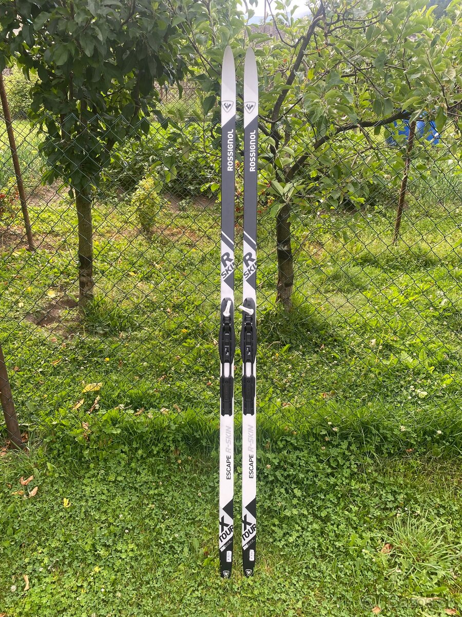 Bežky a palice