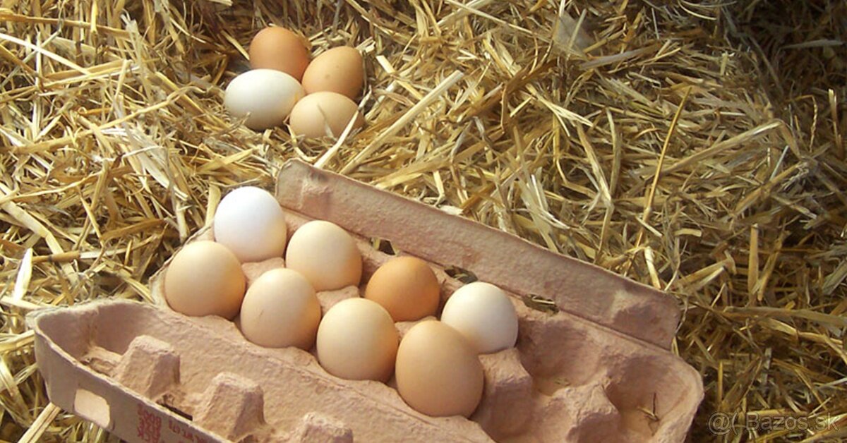 Kúpim nasadove vajcia