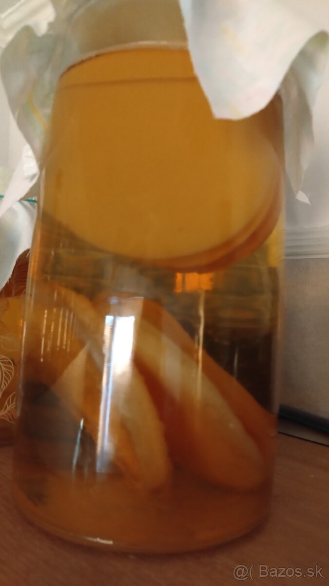 Kombucha huba Scoby + násada štartér a návod na prípravu