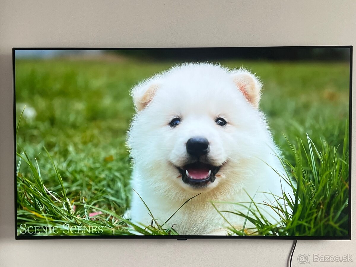LG Oled55B3