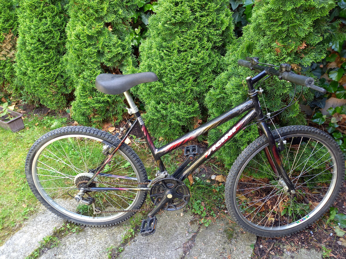 bicykel VICINI