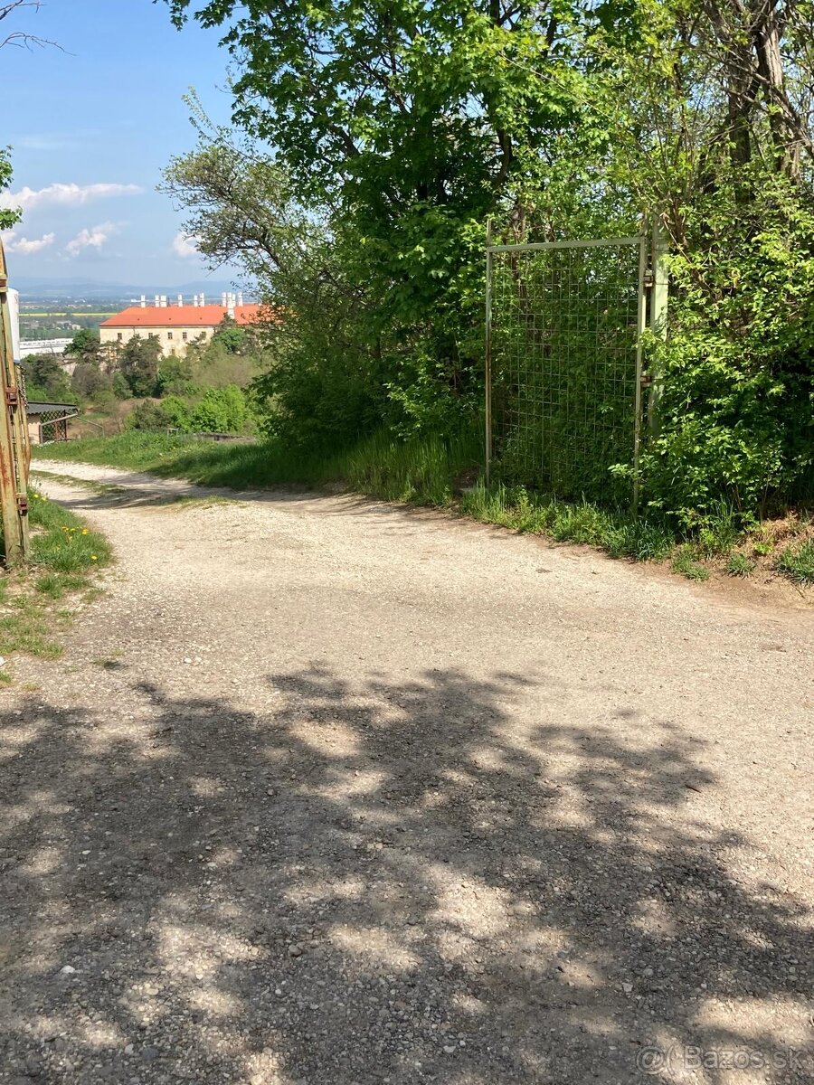 Predám záhradu