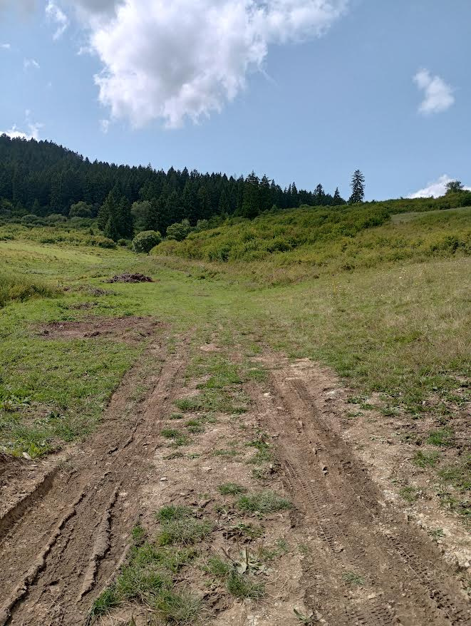 Predám pozemok v Ružomberku.