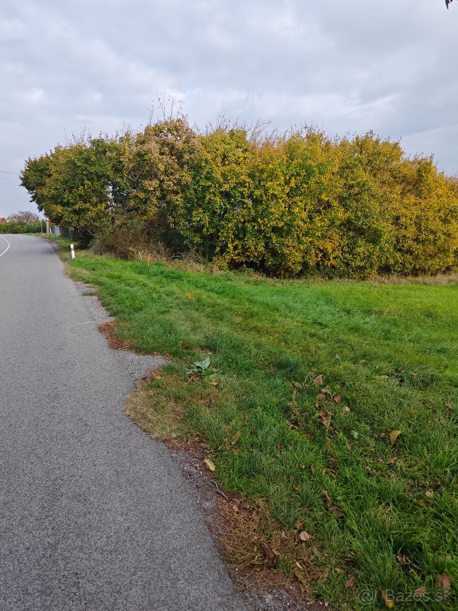 Pozemok Nitrianské Hrnciarovce