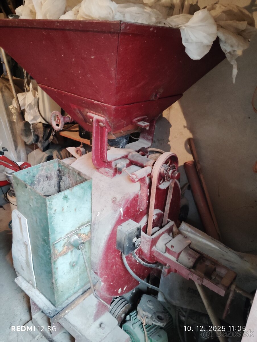 Srotovnik kameňový