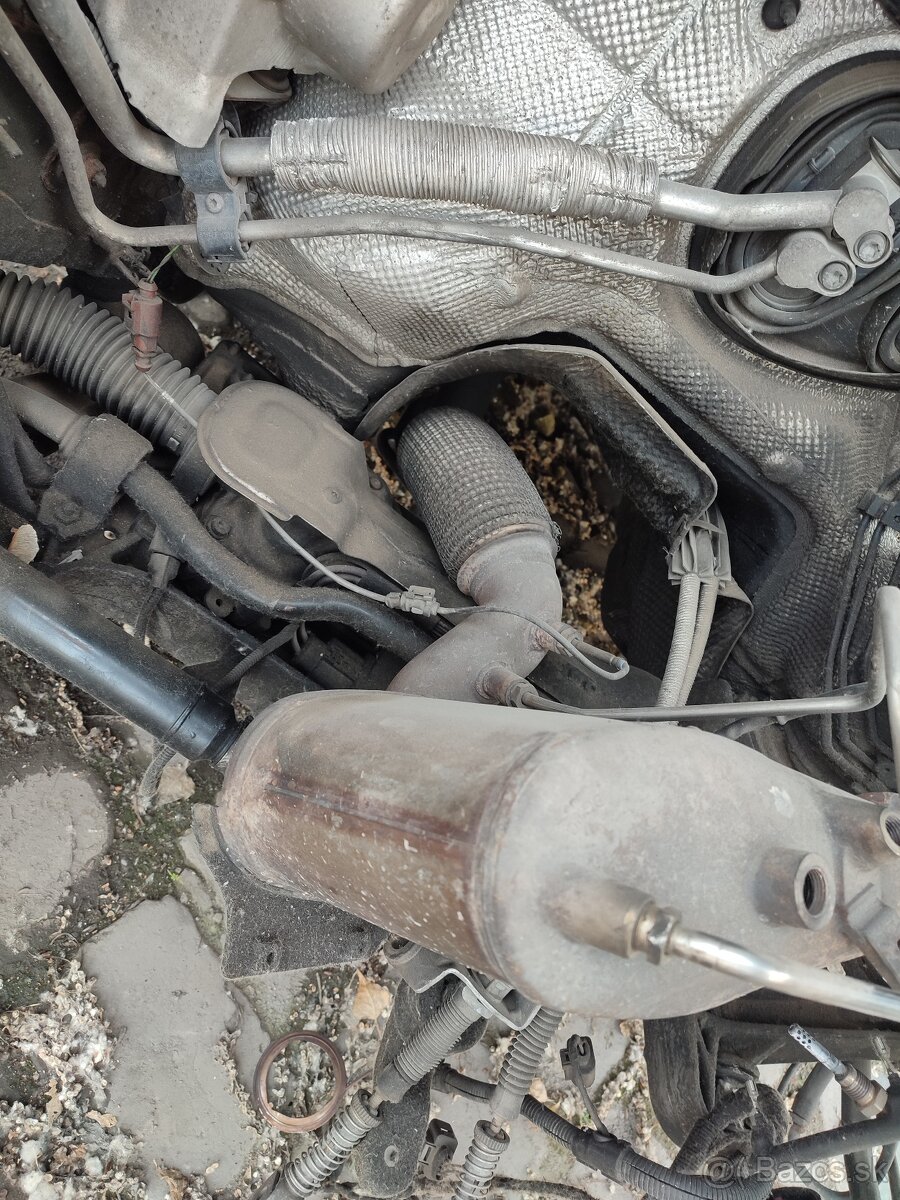 DPF