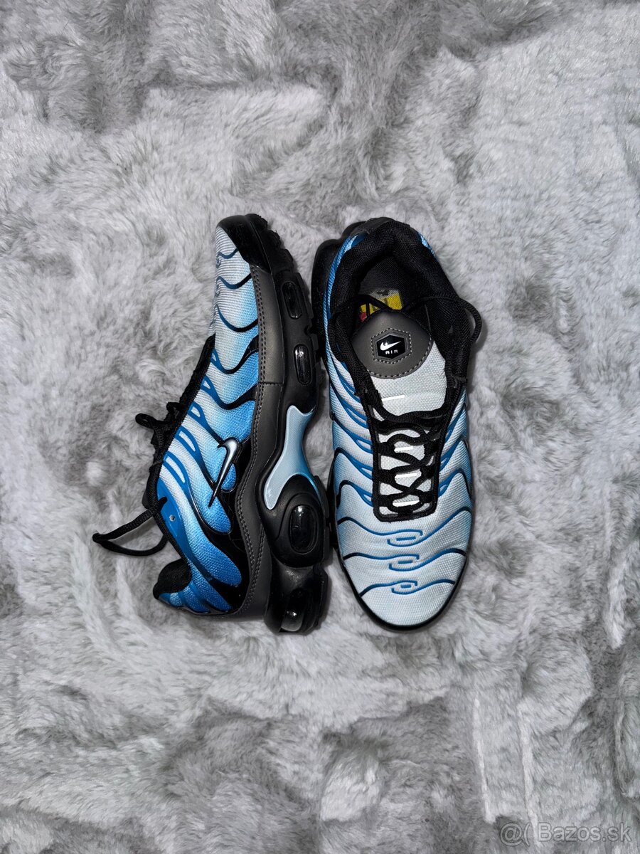 Nike TN air max