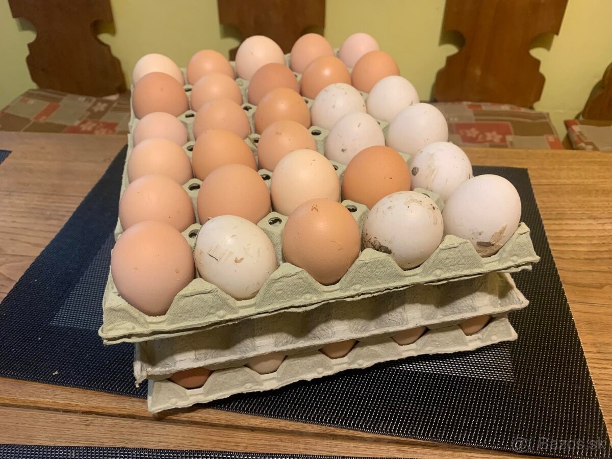 Vajíčka z domáceho chovu