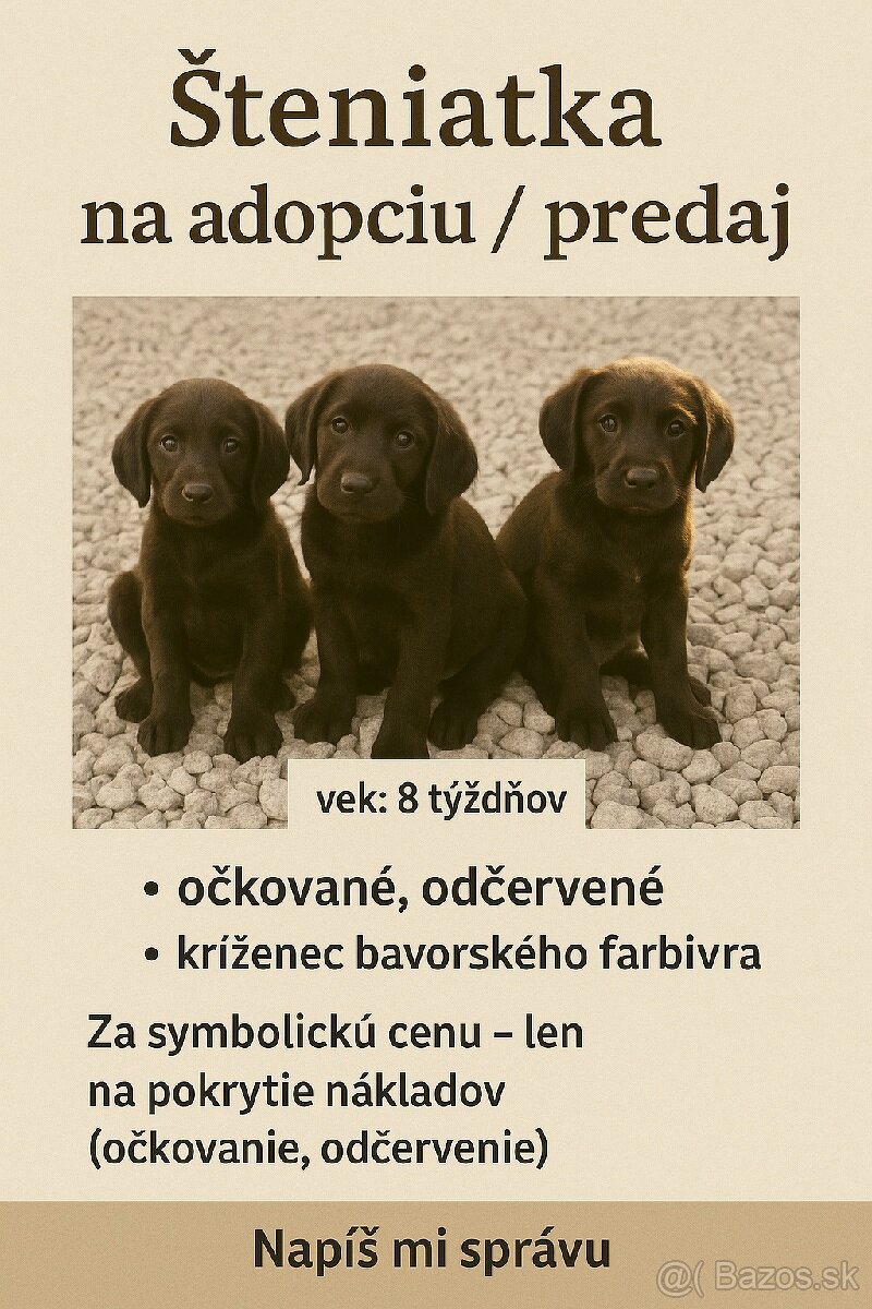 Krásne šteniatka – kríženci bavorského farbiara