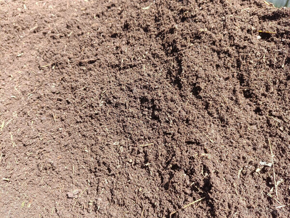 Zem, Humus , ornica