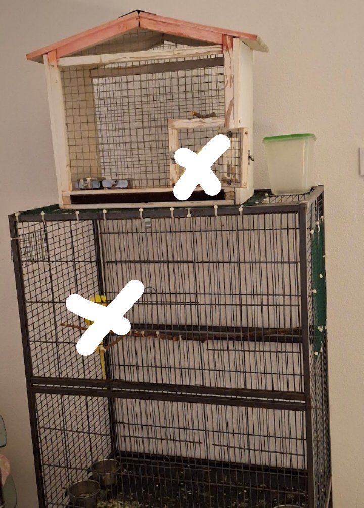 Predám klietky v dobrom stave za symbolickú