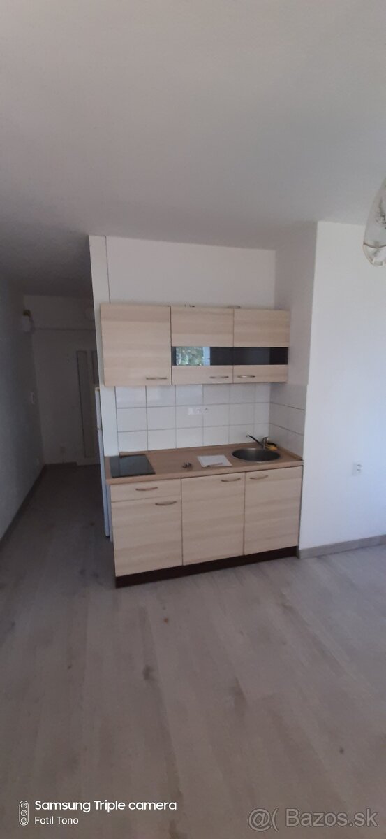1 izbovy byt na prenajom