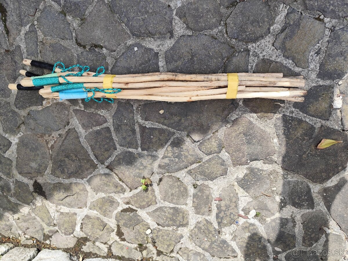Turistické palice