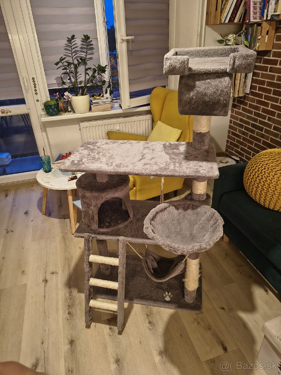 Macacie skrabadlo