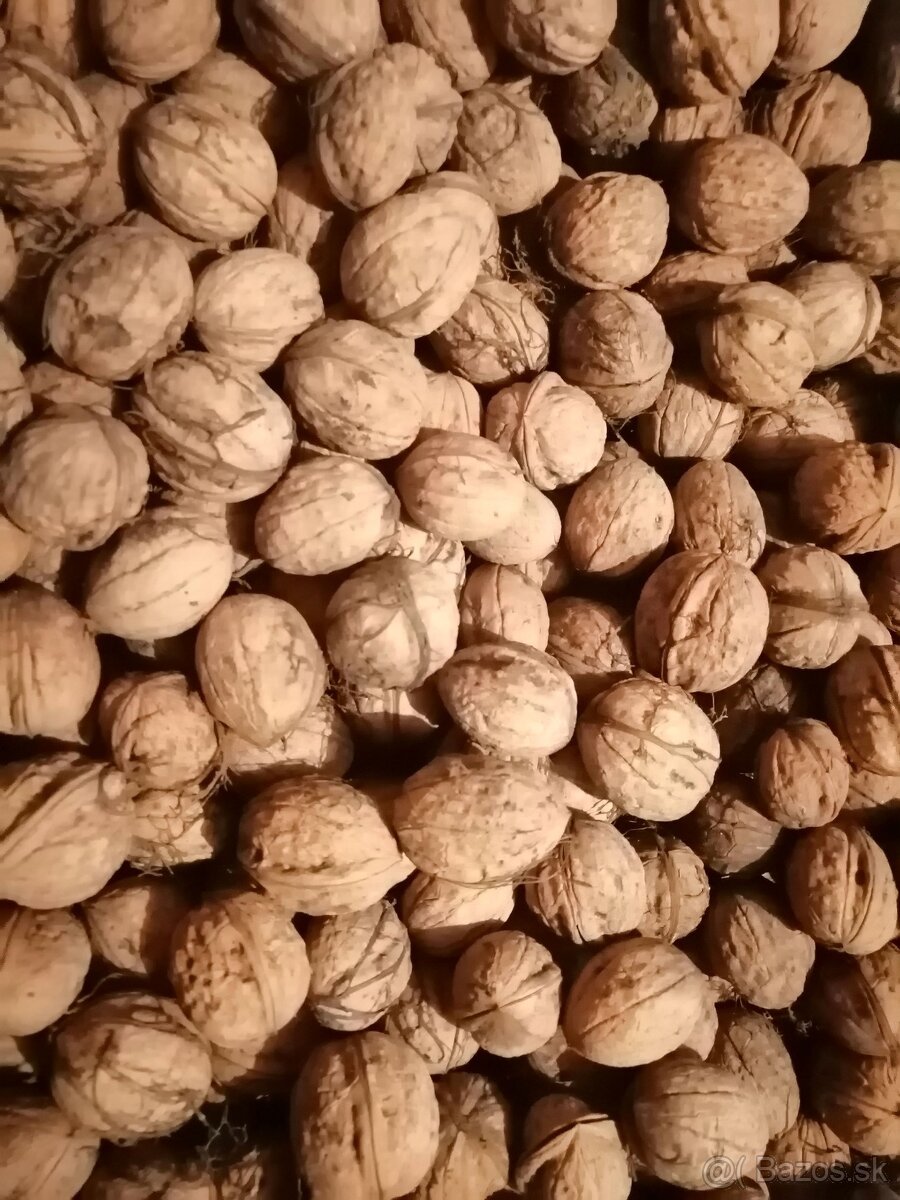 Vlašské orechy nelúpane