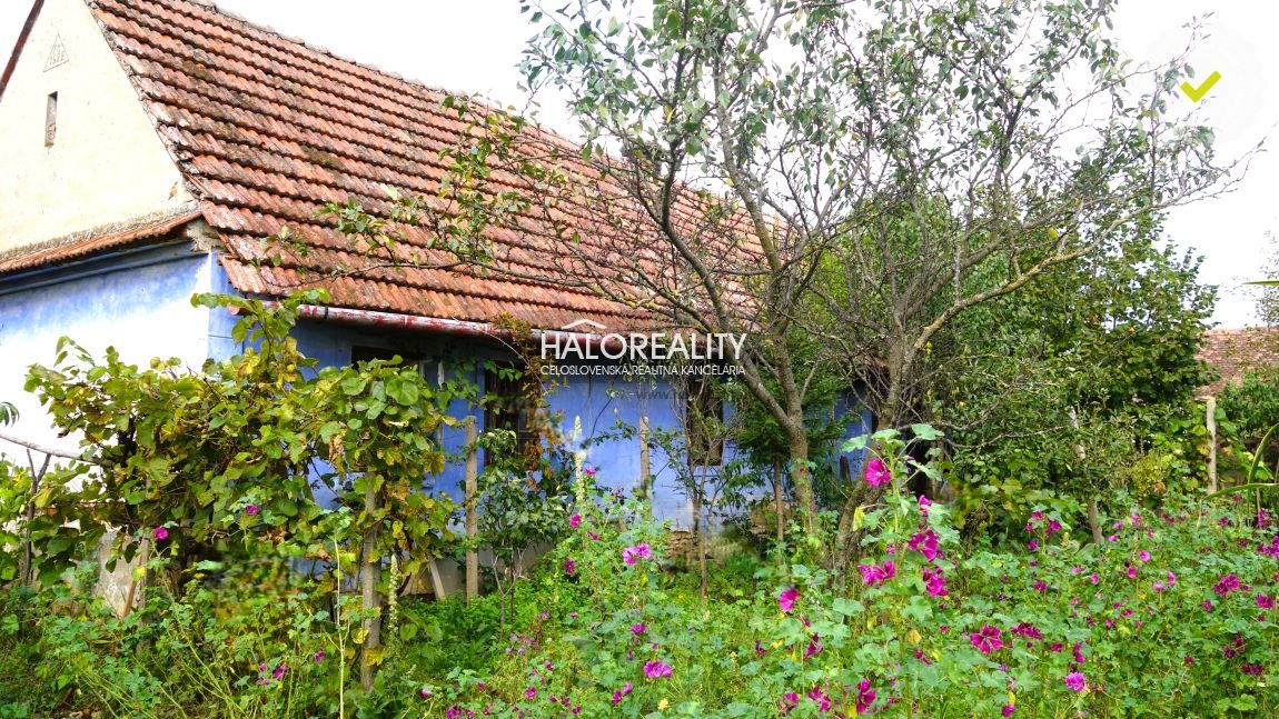 HALO reality - Predaj, rodinný dom Borský Mikuláš - EXKLUZÍV