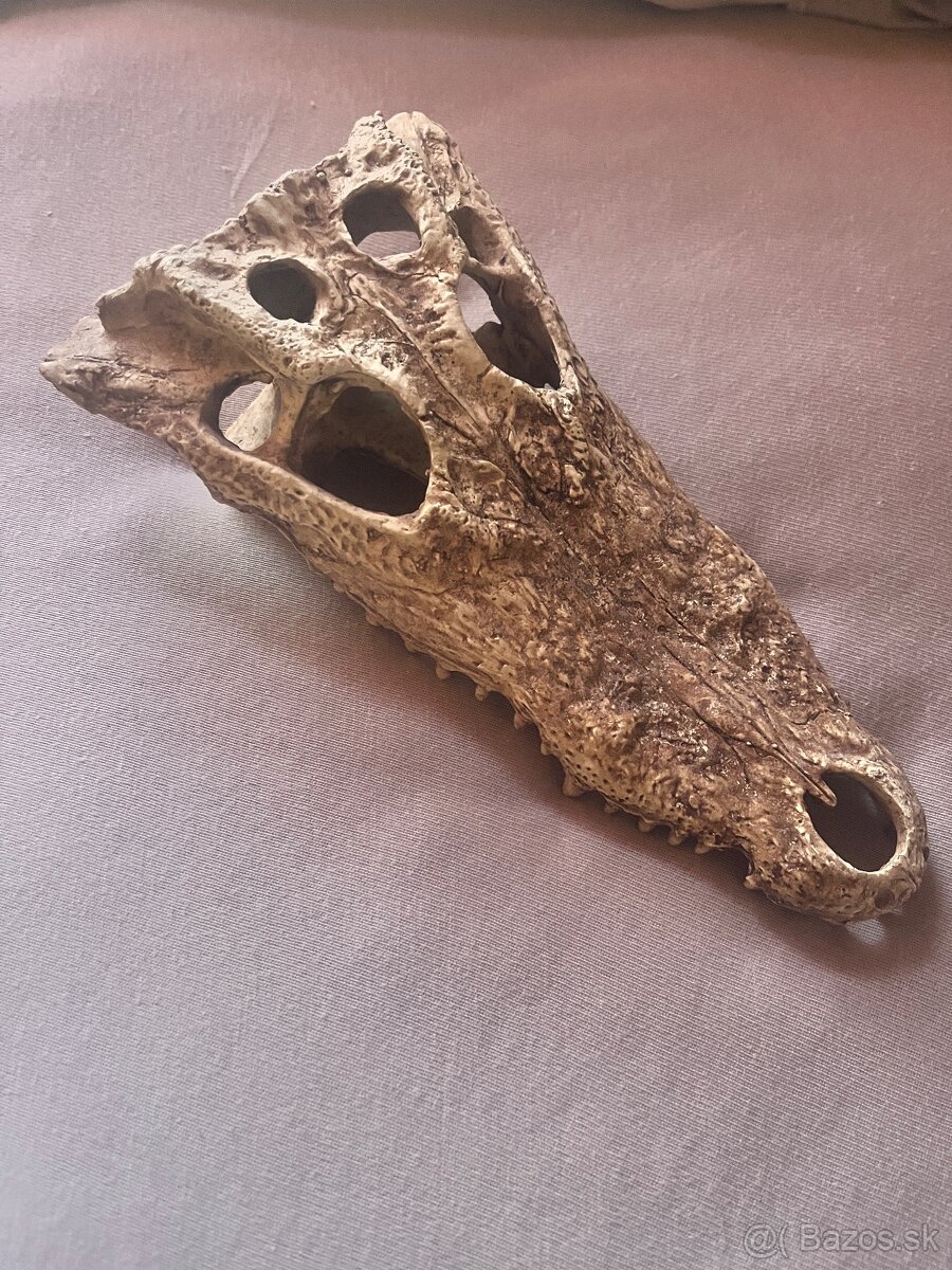 Exoterra dekorácia do teraria