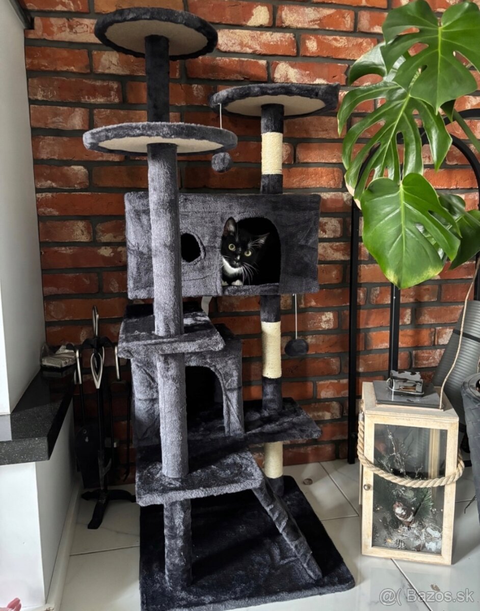 Škrabadlo pre mačky 137cm