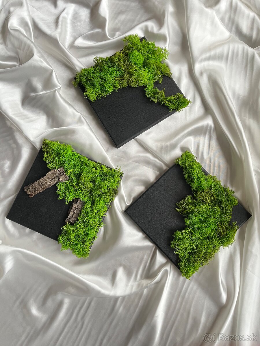 Moderné prírodné obrazy zo stabilizovaného sobieho machu