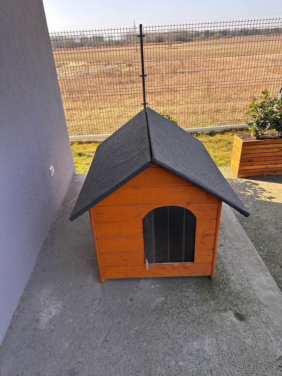 Buda pre psa