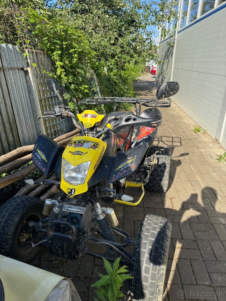 Bashan 250