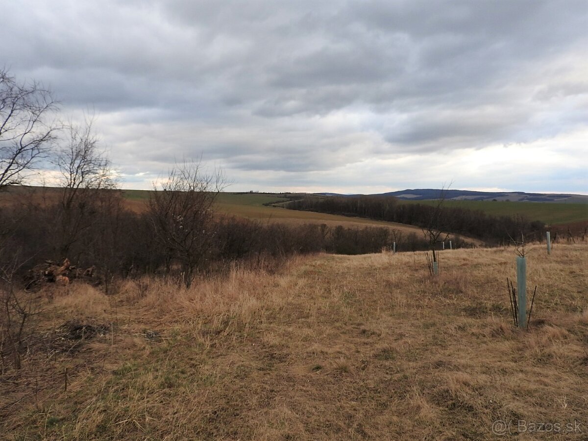 Na predaj pozemok v Prietržke, 2881 m2, okr. Skalica