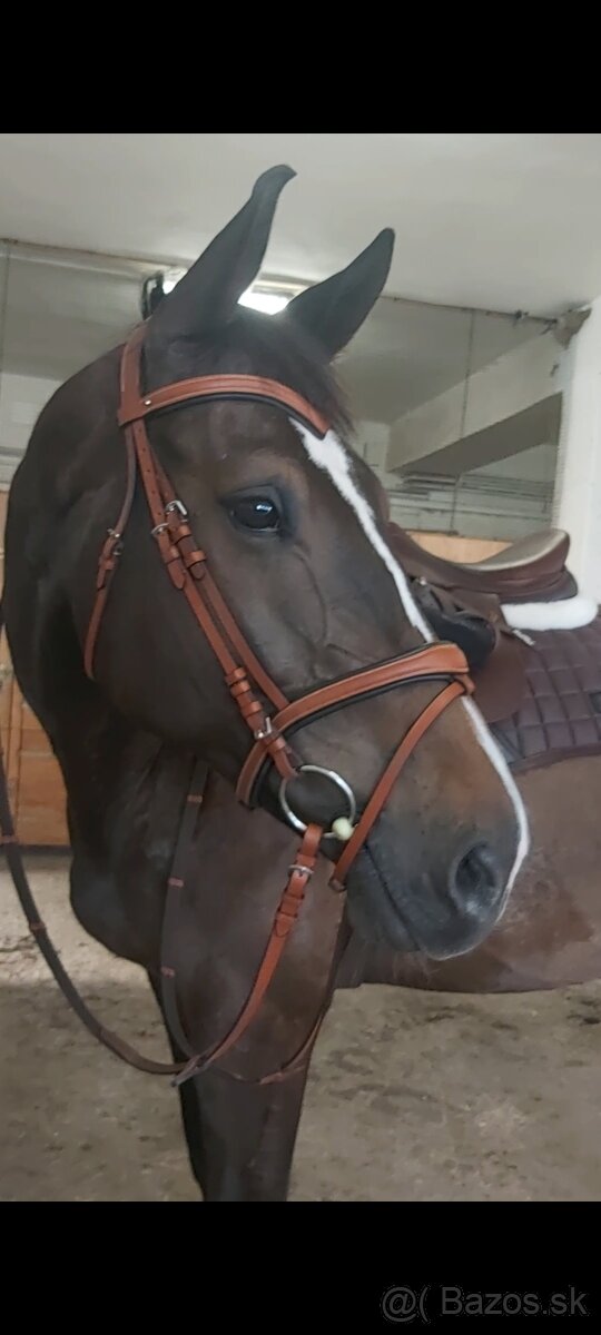 Vysoký valach