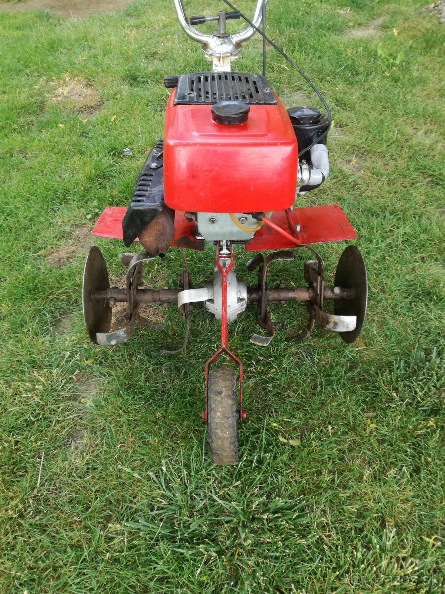 robi55