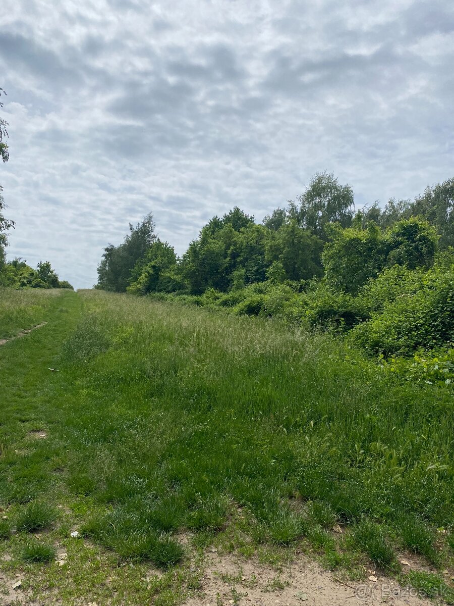 STUPAVA - Stavebný pozemok 3949 m2
