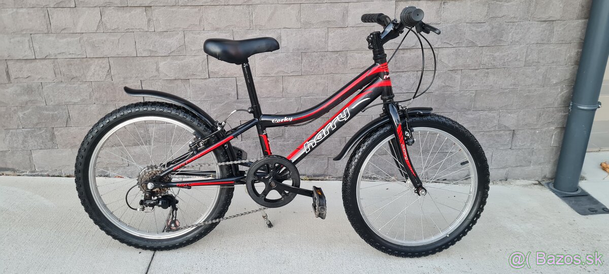 Bicykel Harry 20"